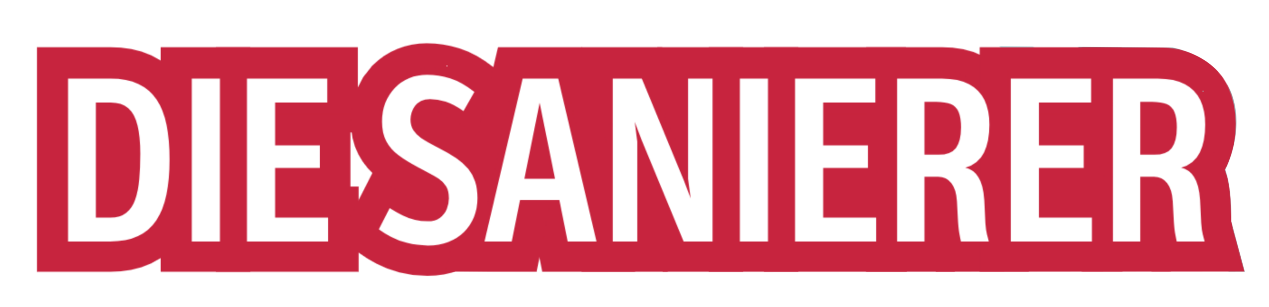 Die Sanierer
